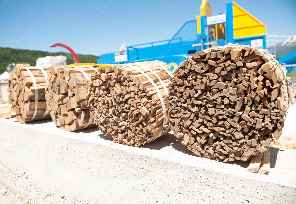 Sviluppo del Settore Bosco-Legno in Friuli Venezia Giulia